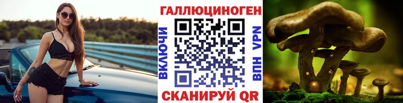Псилоцибиновые грибы прущие грибы  Ухта 