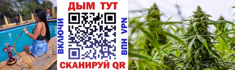 Бошки Шишки Bruce Banner Ухта